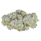 Lemon Cherry Gelato