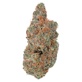 Strawberry Gary (Gary Payton x Red Pop)