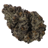 Candy Bones (Obama Rntz x Sherb Cream Pie) Candy Bones (Obama Rntz x Sherb Cream Pie)