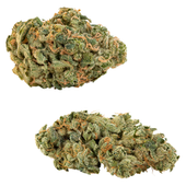 CombOz: Ultra Sour + Tropical Cookies CombOz: Ultra Sour + Tropical Cookies