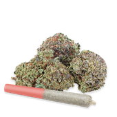 HIGHLY DUTCH - Rotterdam INDICA (ORGANIC Durban Gorilla) Rotating 28G