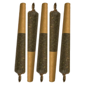 Key Lime Slice Cured Resin Infused Pre-Roll