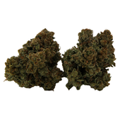 Galactic Glue Flower