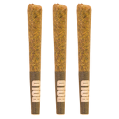 Bold Orange Crush Pre-Rolls