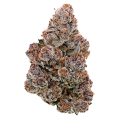 Halli Berri (Ice Cream Cake x Blockberry) Halli Berri (Ice Cream Cake x Blockberry)