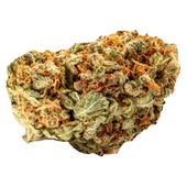 Crab Cakes Crab Cakes