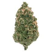 Banana OG