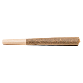 Purple Punch Infused Pre-Roll