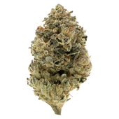 BC Organic Grape Cream Cake