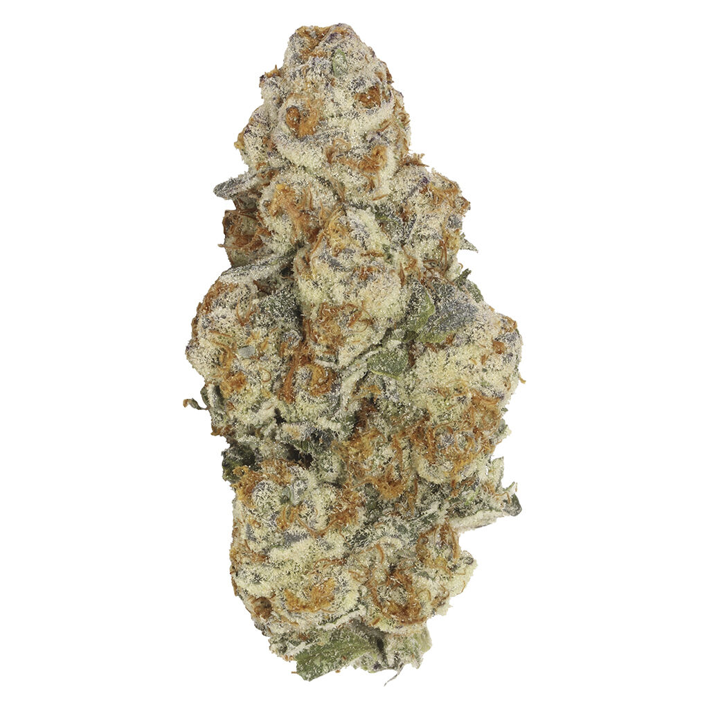 Astronaut Status (Zero Gravity x Mai Tai #4)