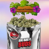Big Bag O' Buds TROPICAL COOKIES Indica Flower - 28 g