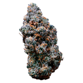 BC's Finest BC's Finest