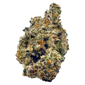 Royal Dive #2: Dark Plasma Royal Dive #2: Dark Plasma