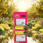 TOBAS SATIVA 10G