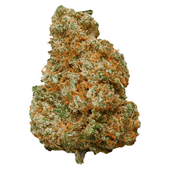 Mango Dream (Mango x Blue Dream)