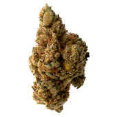 Secret Strains