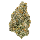 Midnight Sherb - Dried Flower