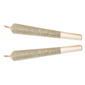 Purple Punch Pre-Roll