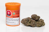 SPACE RACE GRYFFINS (Hindu Kush) 3.5g
