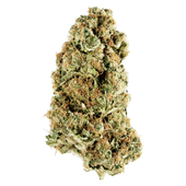 ANIMAL RNTZ  (Animal Cookies x Rntz)