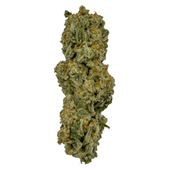 Mach 1 (Miracle Alien Cookies x Violator Kush)