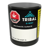 TRIBAL G Mint Live Resin FSE 1g