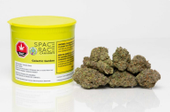SPACE RACE Galactic Garden (Sunshine Kush) 14g