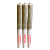 Florida Sunrise Infused Pre-Roll