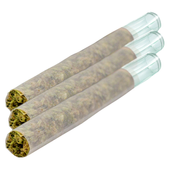 Magik Dragon Glass Tip (Kingdom Kush x Skyline Sensi) | 3x0..5g