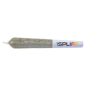 1Spliff - Purple Aya Pre-roll