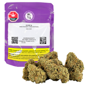G13 Bx1