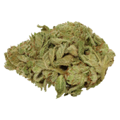 Big Pleasures (Sativa)