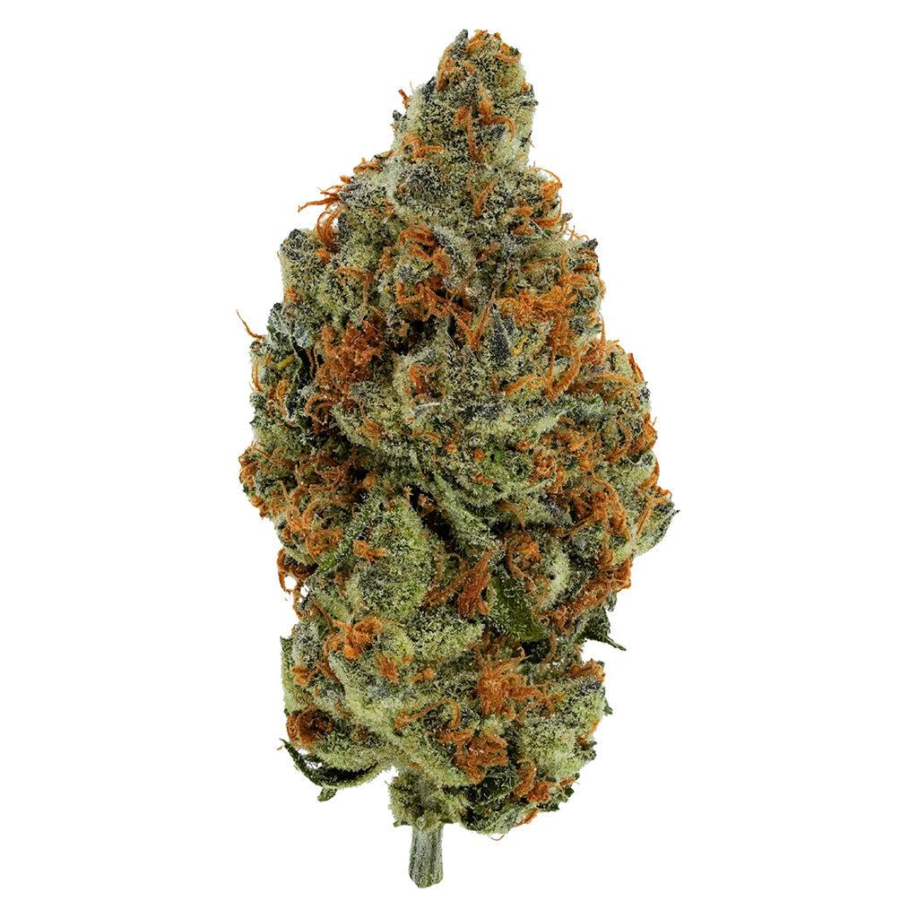 BC Organic Mandarin Zktz (California Black Rozé x Mandarin Sunset R1)