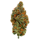 BC Organic Mandarin Zktz