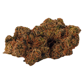 Bold Cool Aid Kush Dried Flower