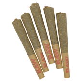 Northern Lights Pre-Roll