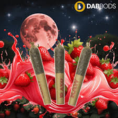Dab Bods STRAWBERRY MOON Hybrid Disti Joints 3X0.5G - 1.5 g