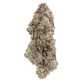 True Mints (True OG x Kush Mints)