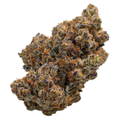 King Kush