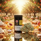 The Giggles Indica 5G