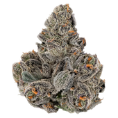 Gastro Pop (Apples & Bananas x Grape Gasoline)