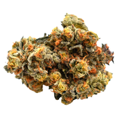 Super Sativa (Alien Tahoe OG x Columbian)