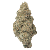 AAA+ Sativa