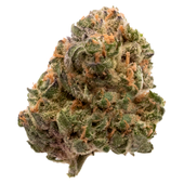 Garlic Truffle Garlic Truffle