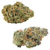 CombOz: GMO Cookies + Ultra Sour