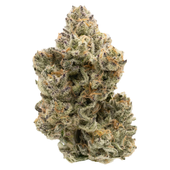 Pineapple Bang (Pineapple Fruz x Wild Cherry) Pineapple Bang (Pineapple Fruz x Wild Cherry)