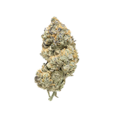 SNICKLEFRITZ Indica (Cement Shoes) 7g