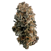 Runtz OG (Zktlz x Gelato)