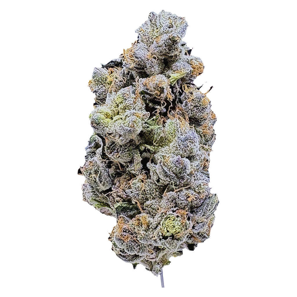 Platinum Blue Gellati