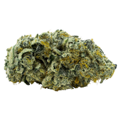Jet Fuel Pie Indica
